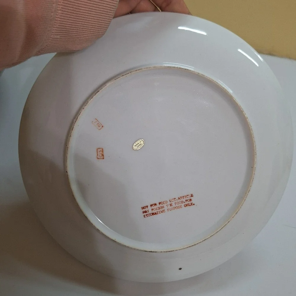 Vintage Accent Chinese Plate & Bowl Large 10